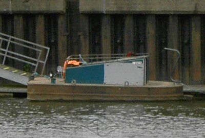 tiny tug at meadowlane090617d.jpg